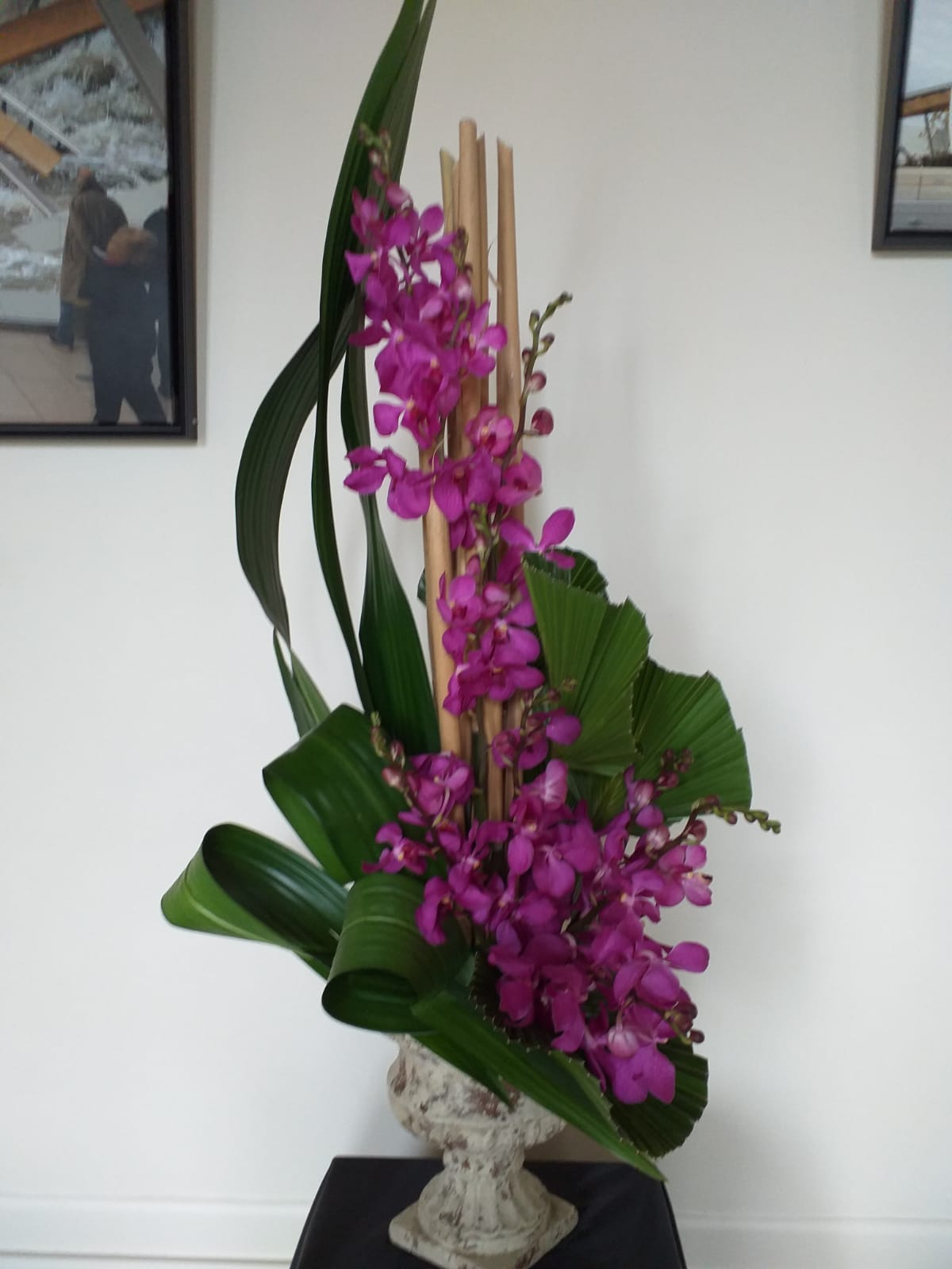 IMG-20221021-WA0009
