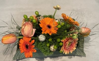 Retour sur l’atelier Printemps « Découverte Adultes »